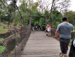 photos/2020/03/Animal Kingdom - Bethany on Bridge 2020-03-10 001.jpg