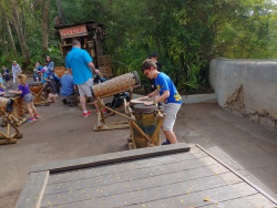 photos/2020/03/Animal Kingdom - Drums 2020-03-10 001.jpg