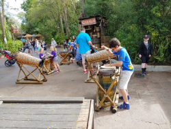 photos/2020/03/Animal Kingdom - Drums 2020-03-10 008.jpg