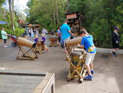 photos/2020/03/Animal Kingdom - Drums 2020-03-10 009.jpg