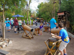 photos/2020/03/Animal Kingdom - Drums 2020-03-10 014.jpg