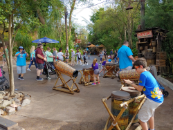 photos/2020/03/Animal Kingdom - Drums 2020-03-10 015.jpg