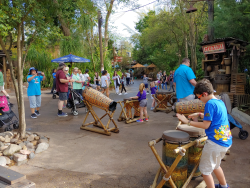 photos/2020/03/Animal Kingdom - Drums 2020-03-10 016.jpg