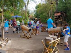 photos/2020/03/Animal Kingdom - Drums 2020-03-10 017.jpg