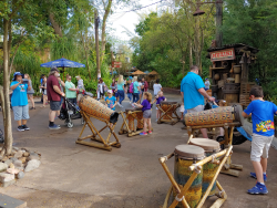 photos/2020/03/Animal Kingdom - Drums 2020-03-10 018.jpg