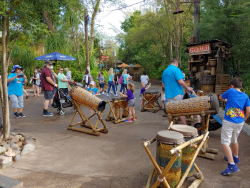 photos/2020/03/Animal Kingdom - Drums 2020-03-10 019.jpg