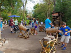 photos/2020/03/Animal Kingdom - Drums 2020-03-10 020.jpg