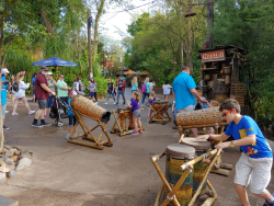 photos/2020/03/Animal Kingdom - Drums 2020-03-10 021.jpg