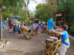 photos/2020/03/Animal Kingdom - Drums 2020-03-10 022.jpg