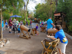 photos/2020/03/Animal Kingdom - Drums 2020-03-10 023.jpg