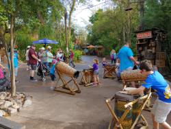 photos/2020/03/Animal Kingdom - Drums 2020-03-10 024.jpg