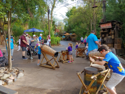 photos/2020/03/Animal Kingdom - Drums 2020-03-10 025.jpg