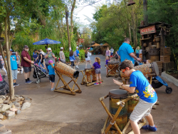 photos/2020/03/Animal Kingdom - Drums 2020-03-10 027.jpg