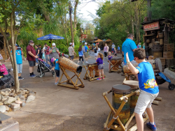 photos/2020/03/Animal Kingdom - Drums 2020-03-10 028.jpg