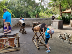 photos/2020/03/Animal Kingdom - Drums 2020-03-10 029.jpg