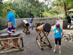 photos/2020/03/Animal Kingdom - Drums 2020-03-10 030.jpg