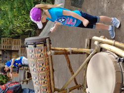 photos/2020/03/Animal Kingdom - Drums 2020-03-10 035.jpg