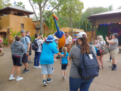 photos/2020/03/Animal Kingdom - Kevin 2020-03-10 008.jpg