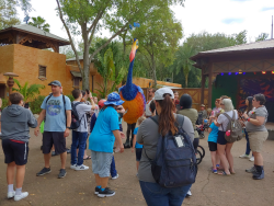 photos/2020/03/Animal Kingdom - Kevin 2020-03-10 009.jpg