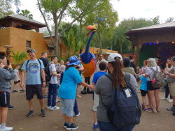 photos/2020/03/Animal Kingdom - Kevin 2020-03-10 010.jpg