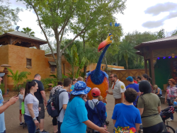 photos/2020/03/Animal Kingdom - Kevin 2020-03-10 016.jpg