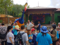 photos/2020/03/Animal Kingdom - Kevin 2020-03-10 018.jpg