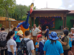 photos/2020/03/Animal Kingdom - Kevin 2020-03-10 019.jpg