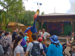 photos/2020/03/Animal Kingdom - Kevin 2020-03-10 023.jpg