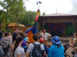 photos/2020/03/Animal Kingdom - Kevin 2020-03-10 024.jpg