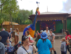 photos/2020/03/Animal Kingdom - Kevin 2020-03-10 026.jpg