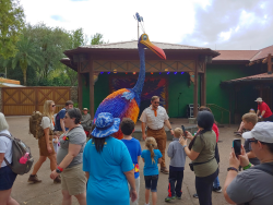 photos/2020/03/Animal Kingdom - Kevin 2020-03-10 033.jpg