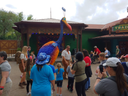 photos/2020/03/Animal Kingdom - Kevin 2020-03-10 035.jpg