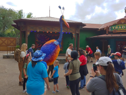 photos/2020/03/Animal Kingdom - Kevin 2020-03-10 036.jpg