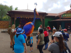 photos/2020/03/Animal Kingdom - Kevin 2020-03-10 037.jpg