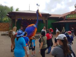 photos/2020/03/Animal Kingdom - Kevin 2020-03-10 038.jpg