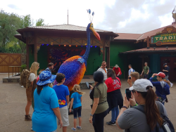 photos/2020/03/Animal Kingdom - Kevin 2020-03-10 039.jpg