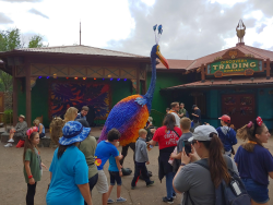 photos/2020/03/Animal Kingdom - Kevin 2020-03-10 042.jpg