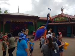 photos/2020/03/Animal Kingdom - Kevin 2020-03-10 045.jpg