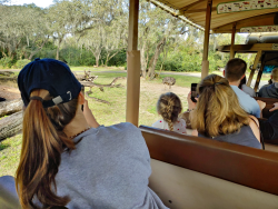 photos/2020/03/Animal Kingdom - Kilimanjaro Safari 2020-03-10 087.jpg