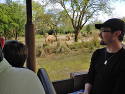 photos/2020/03/Animal Kingdom - Kilimanjaro Safari 2020-03-10 094.jpg