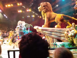 photos/2020/03/Animal Kingdom - Lion King 2020-03-16 007.jpg