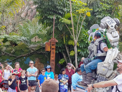 photos/2020/03/Animal Kingdom - Pandora 2020-03-10 001.gif