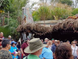 photos/2020/03/Animal Kingdom - Pandora 2020-03-10 002.gif