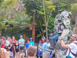 photos/2020/03/Animal Kingdom - Pandora 2020-03-10 005.jpg