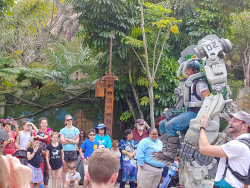 photos/2020/03/Animal Kingdom - Pandora 2020-03-10 006.jpg