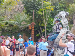 photos/2020/03/Animal Kingdom - Pandora 2020-03-10 007.jpg