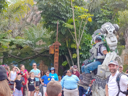 photos/2020/03/Animal Kingdom - Pandora 2020-03-10 011.jpg