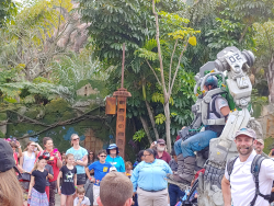 photos/2020/03/Animal Kingdom - Pandora 2020-03-10 012.jpg