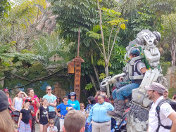 photos/2020/03/Animal Kingdom - Pandora 2020-03-10 015.jpg