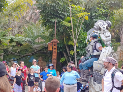 photos/2020/03/Animal Kingdom - Pandora 2020-03-10 016.jpg